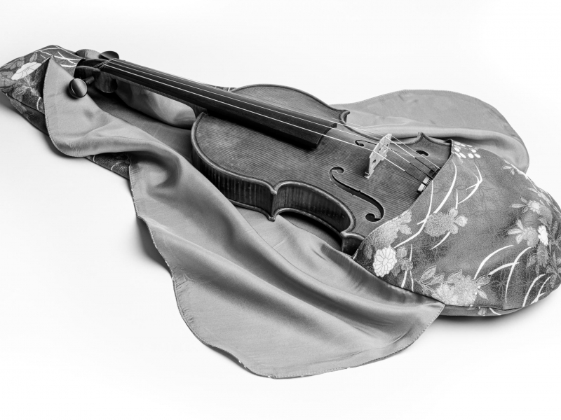 Violin Cocoon Vienna
