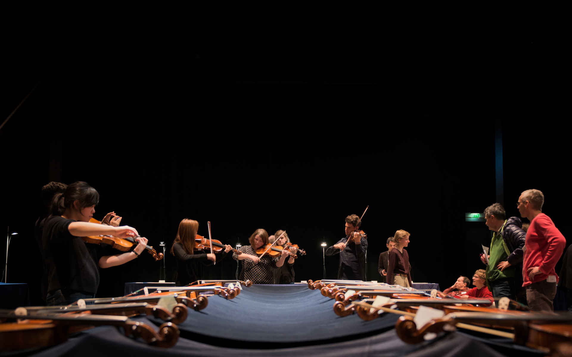 Violins Playing