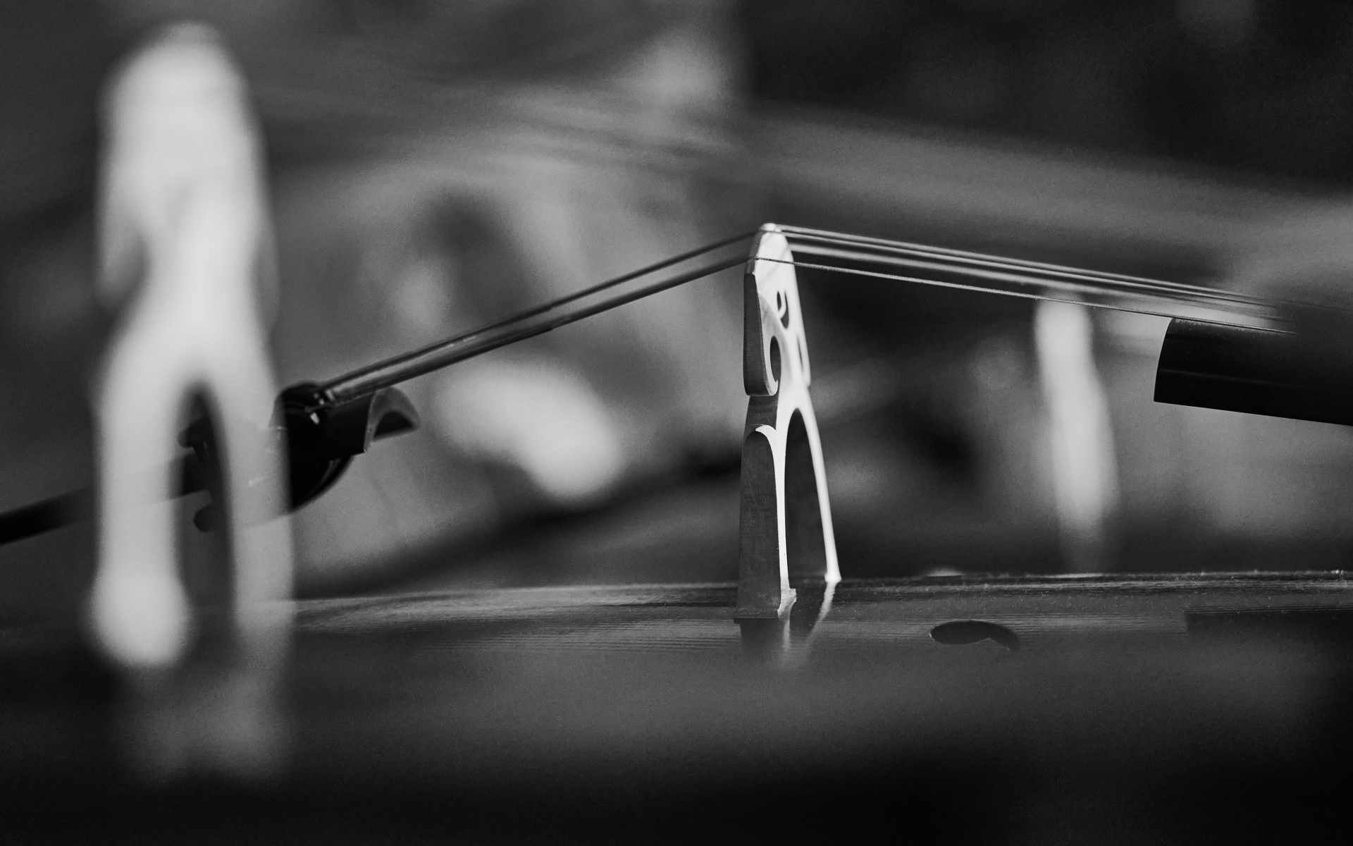 Violin Bridge