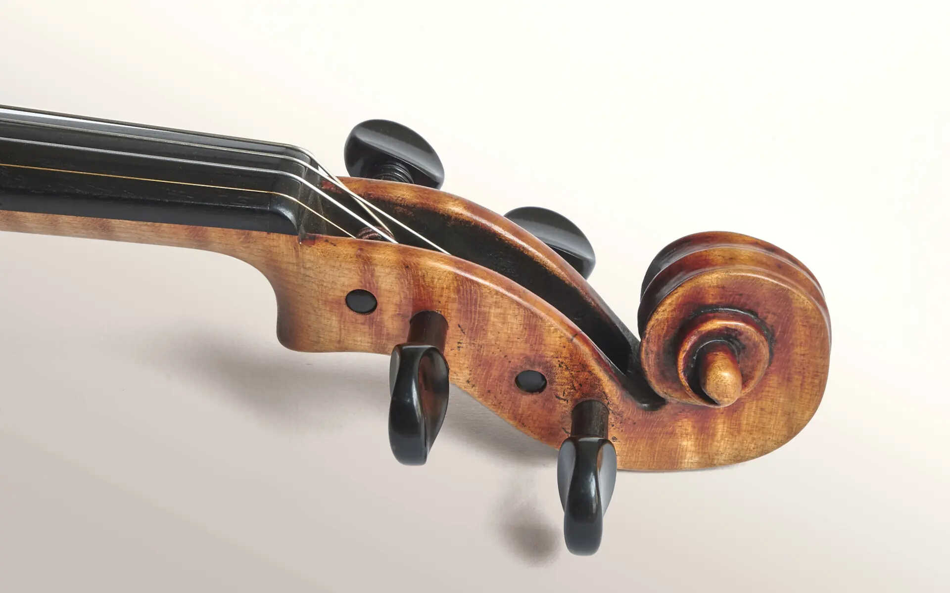 Violin Scroll