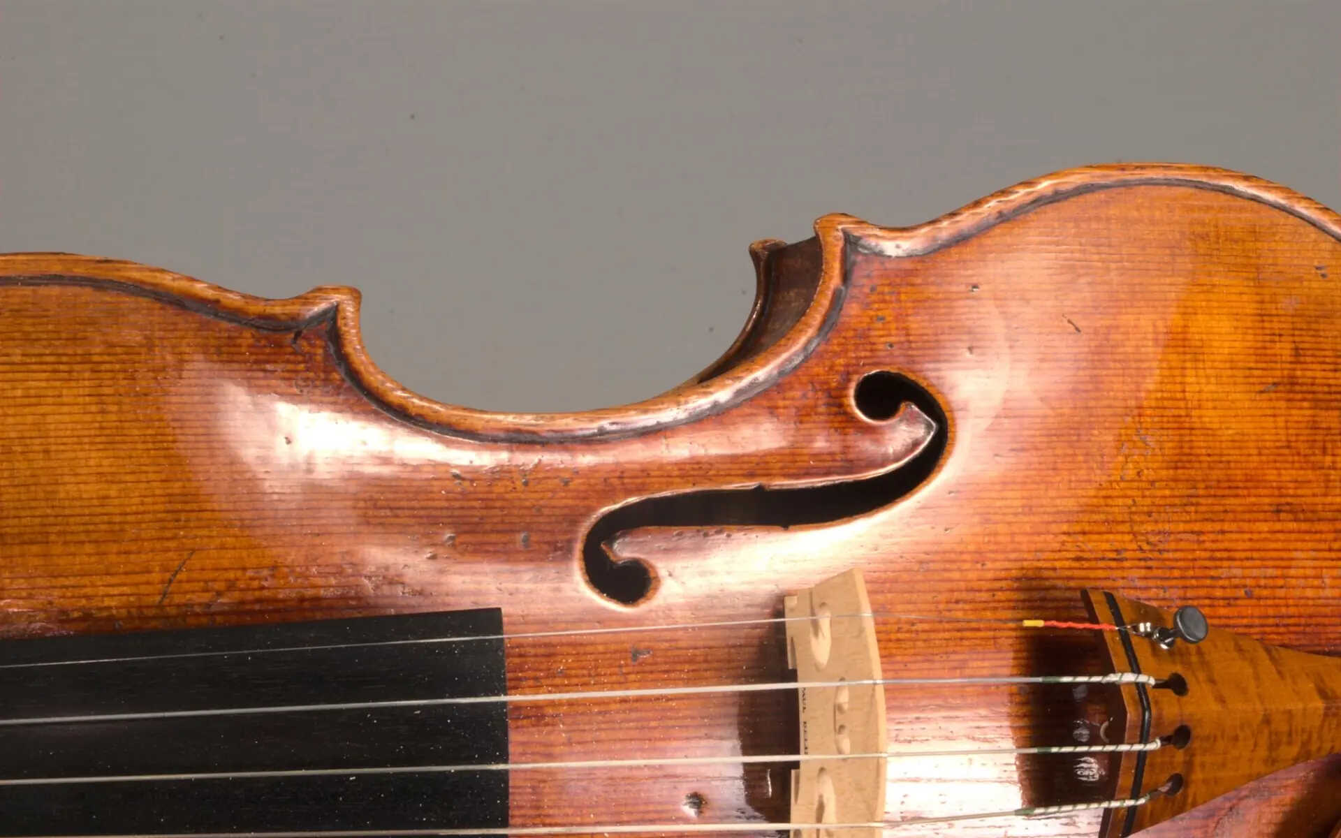 Violin