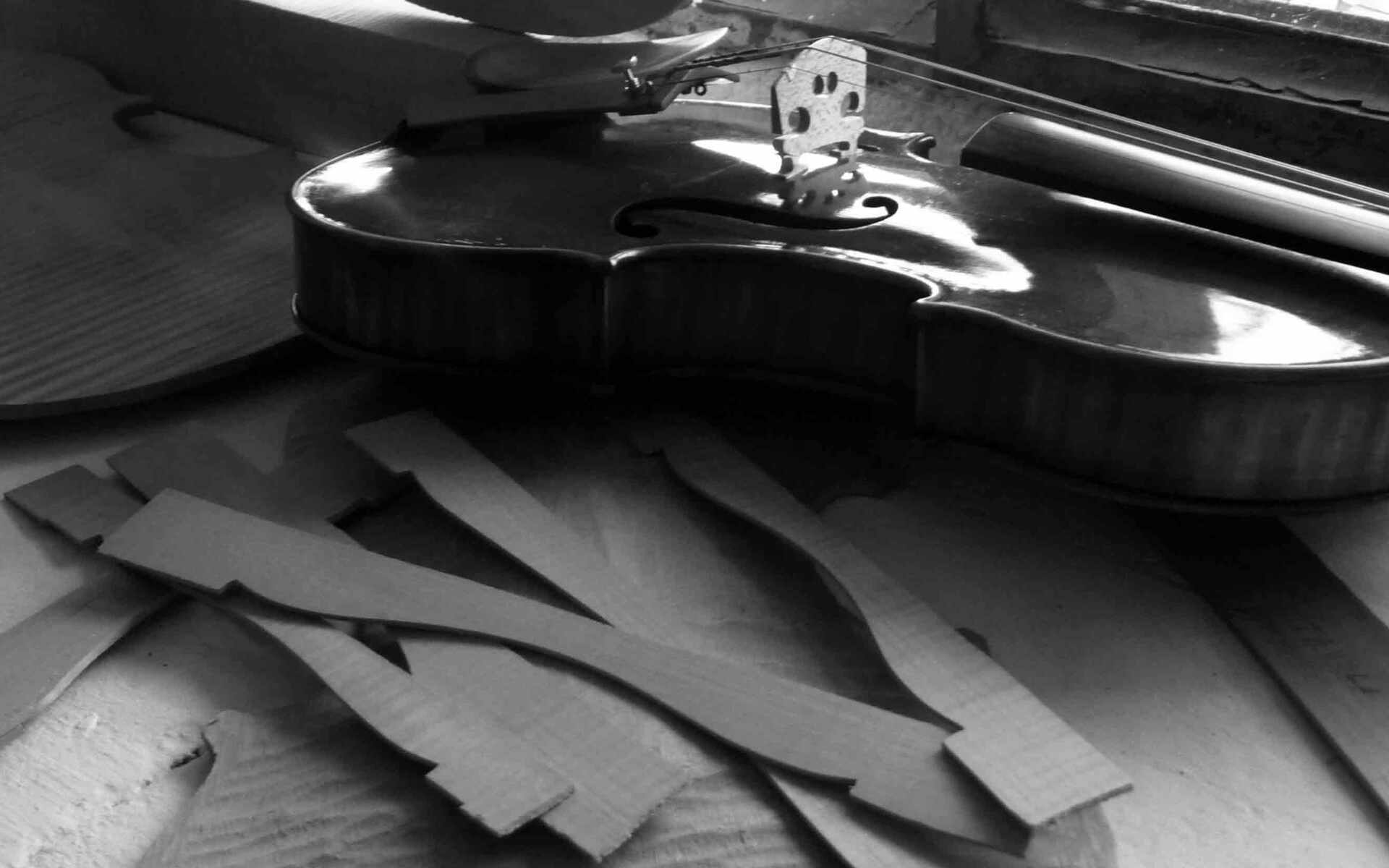 Sibylle Fehr-Borchardt