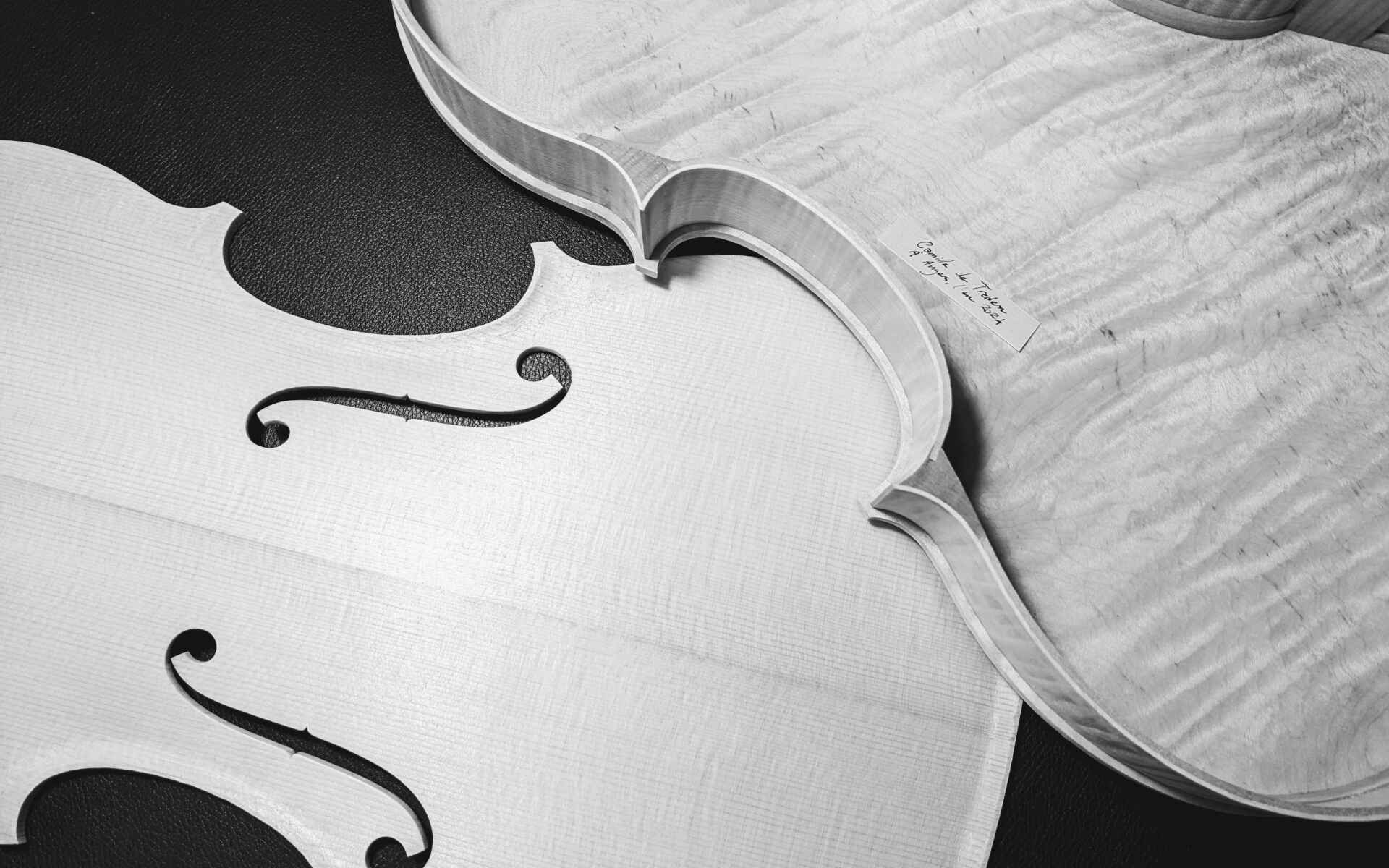 Camille de Tredern Work