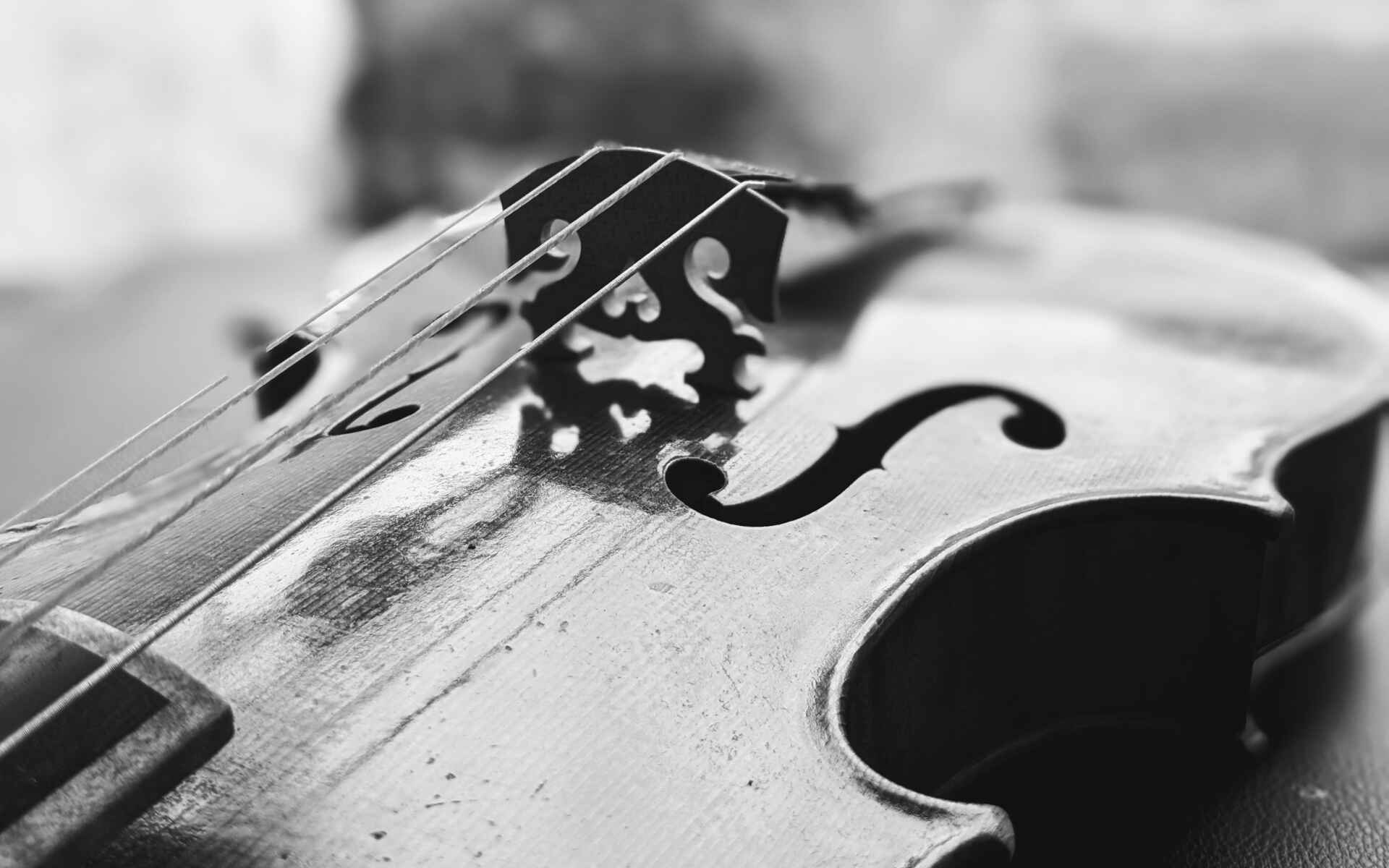 Camille de Tredern Work