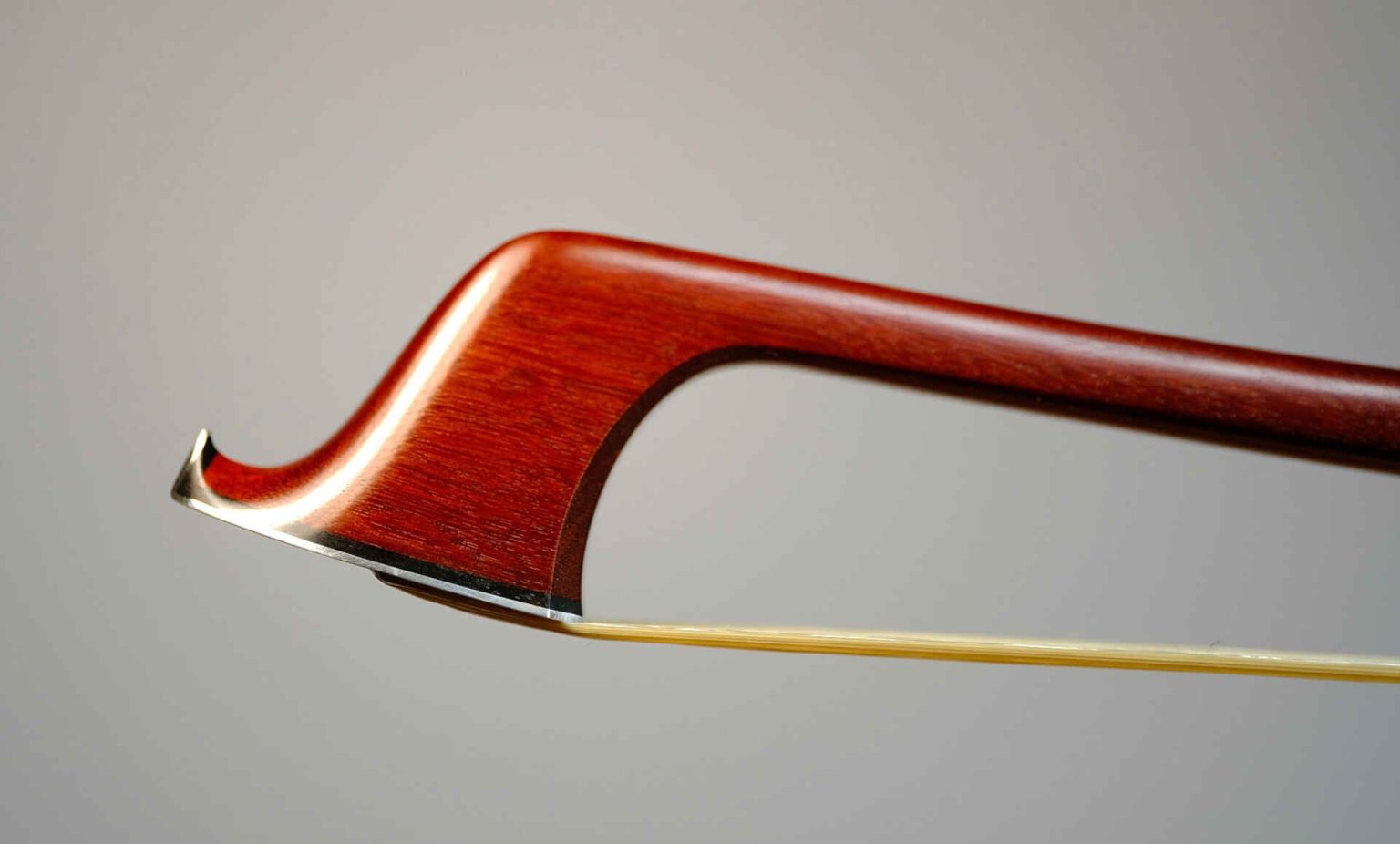 Jordan Scapinello Bow