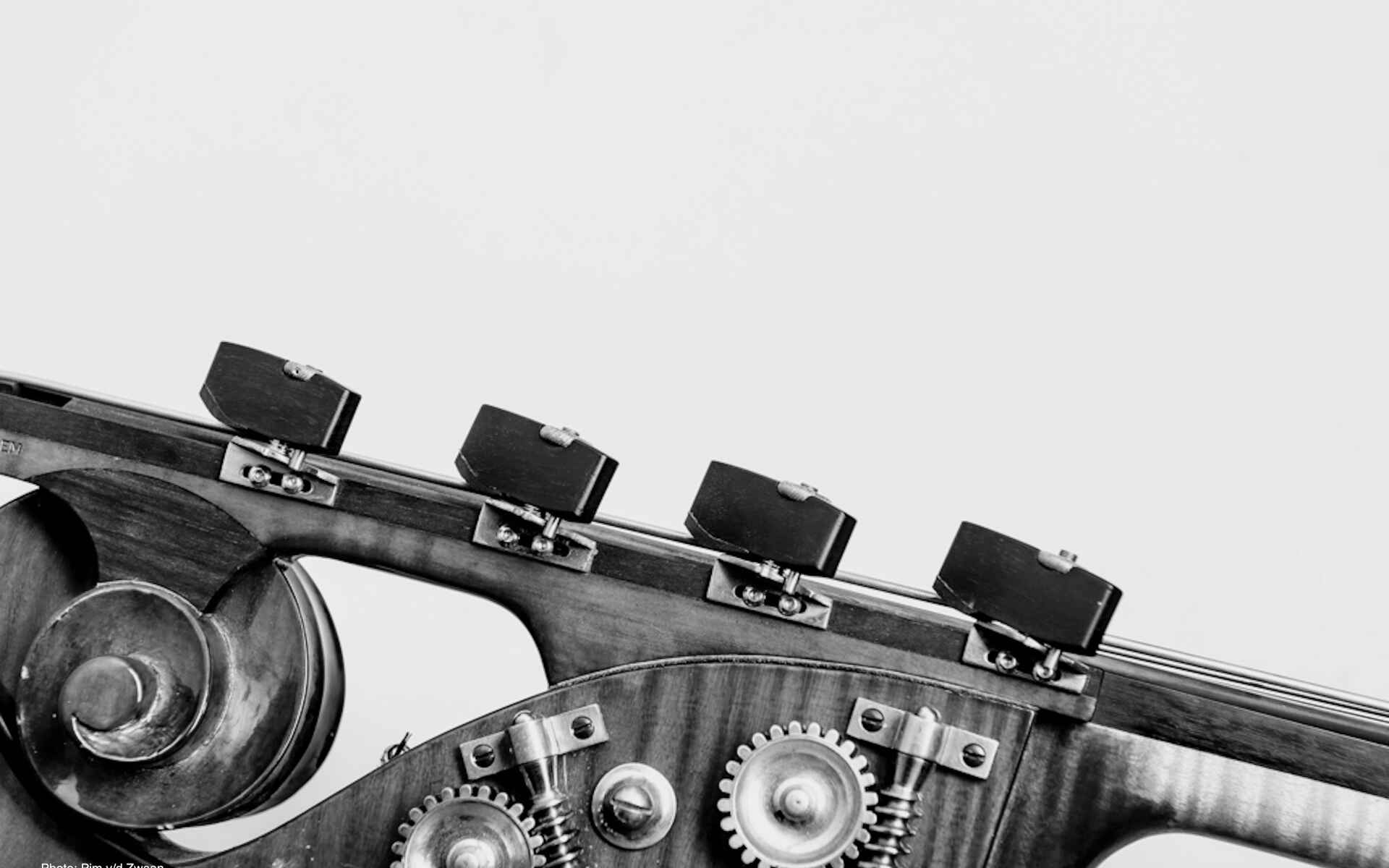 Melle Wondergem Work