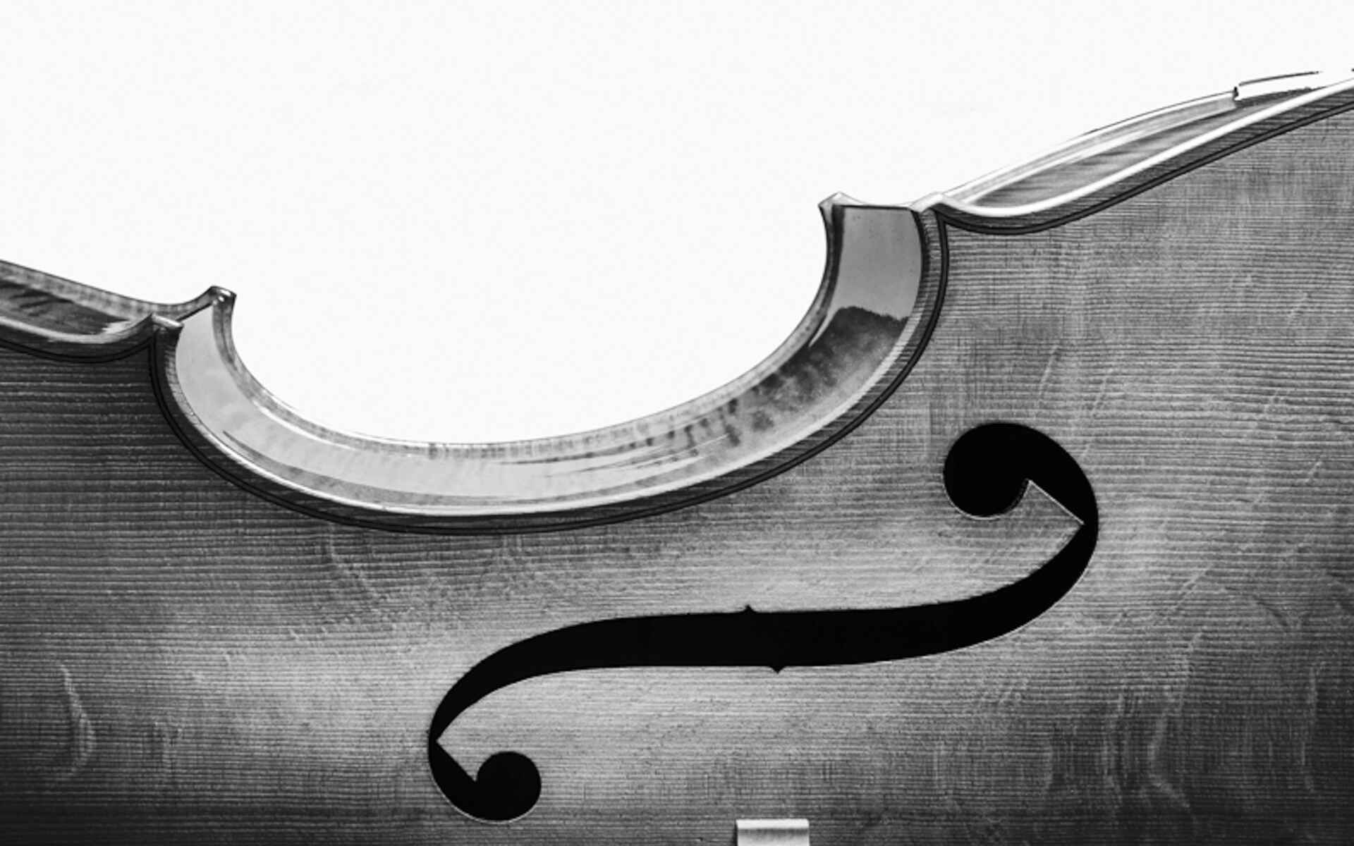 Melle Wondergem Work