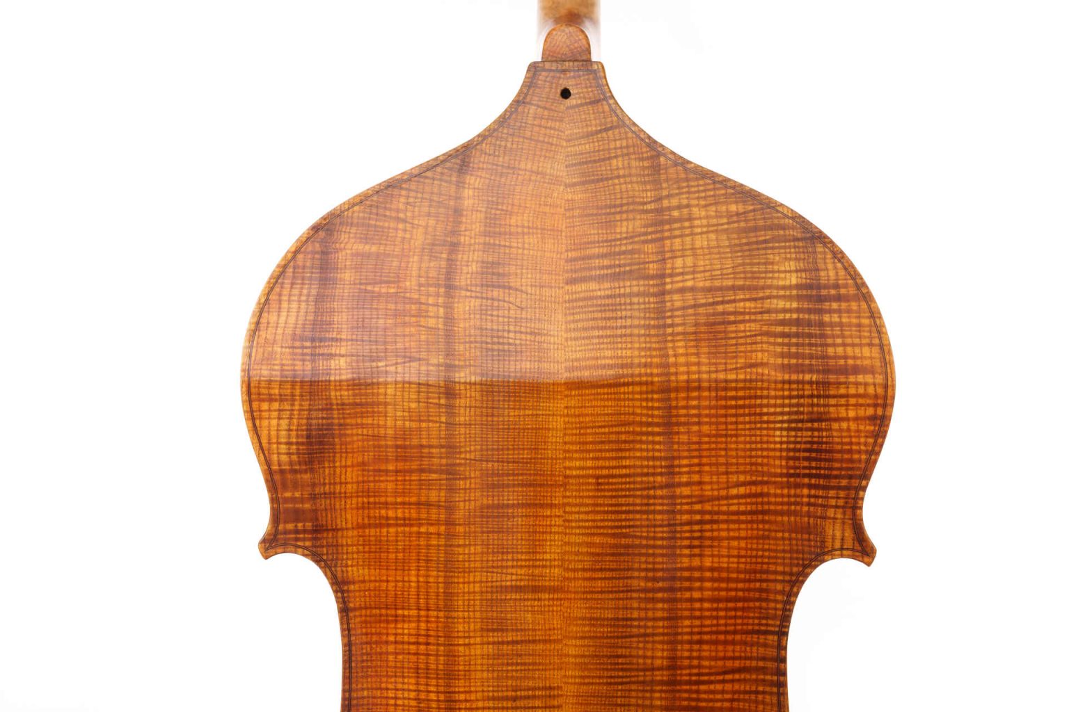 Elinore Morris Instrument