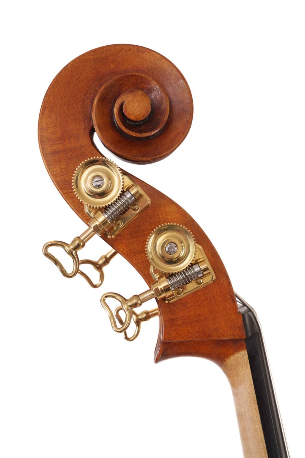 Elinore Morris Instrument