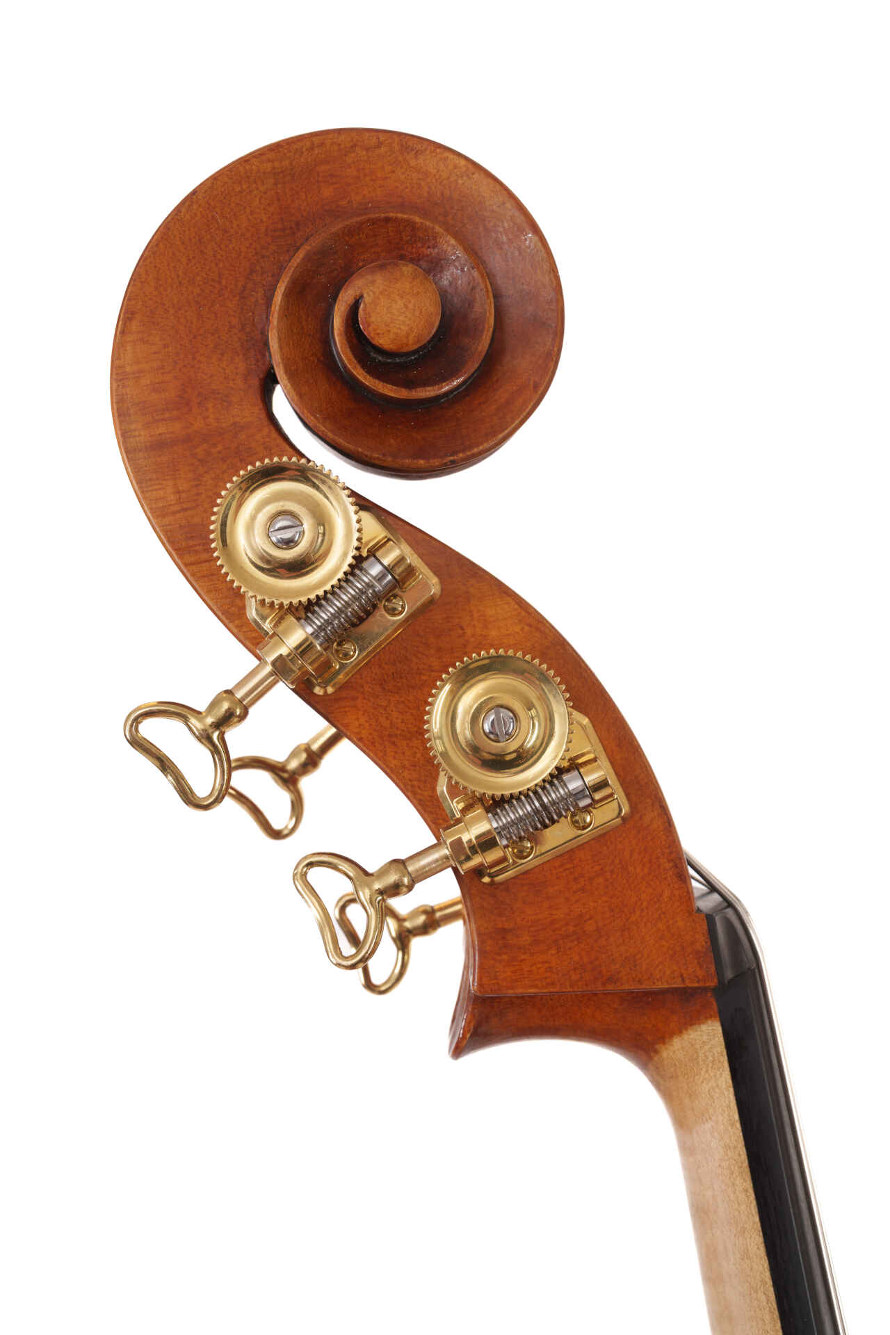 Elinore Morris Instrument