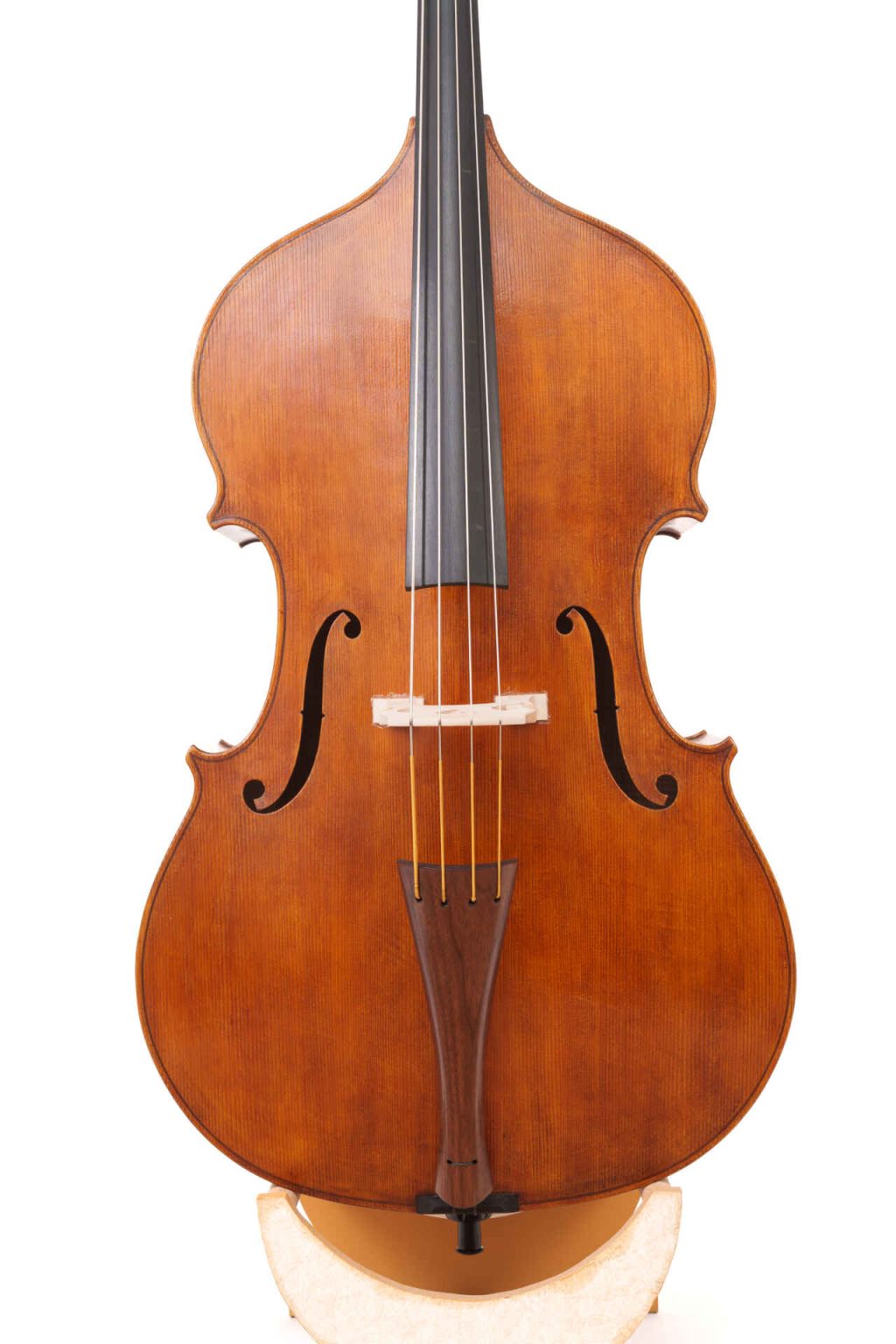 Elinore Morris Instrument