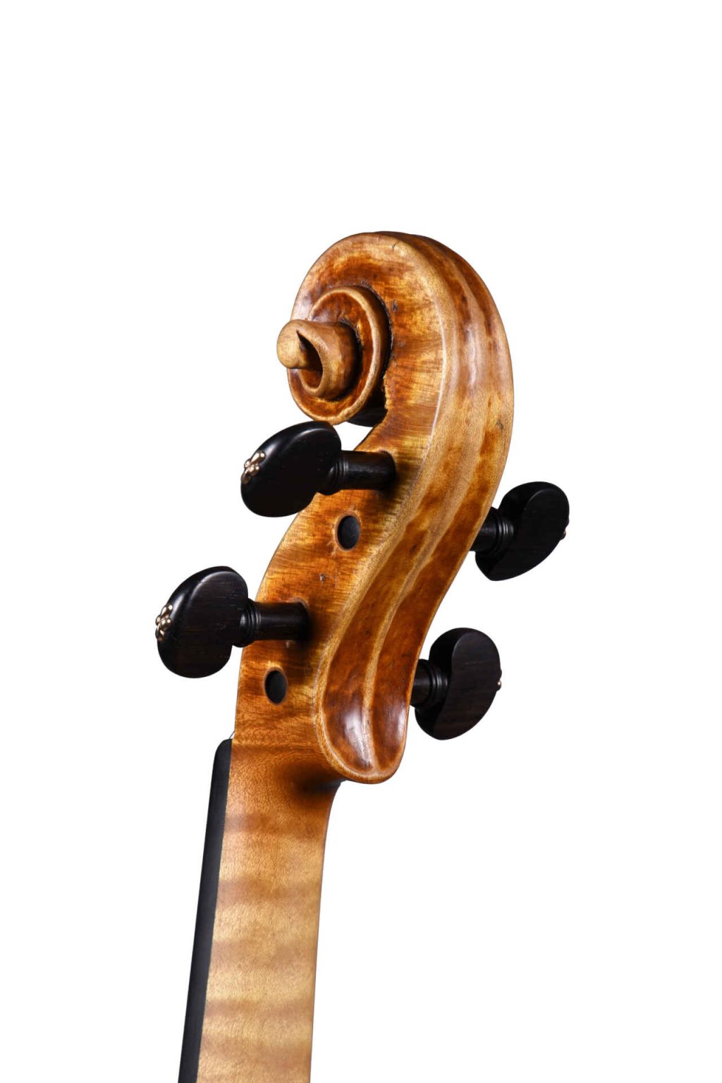 Gianmaria Stelzer Instrument