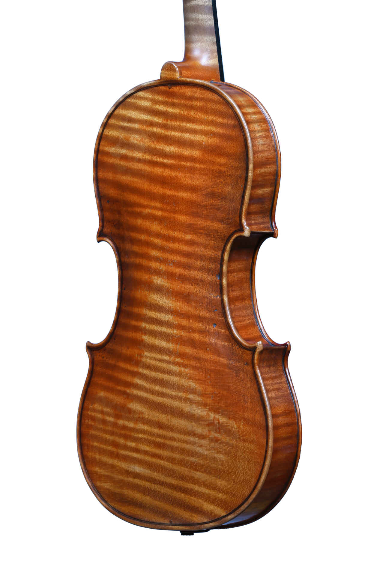 Gianmaria Stelzer Instrument