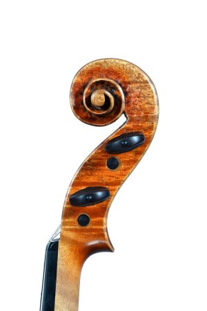 Gianmaria Stelzer Instrument