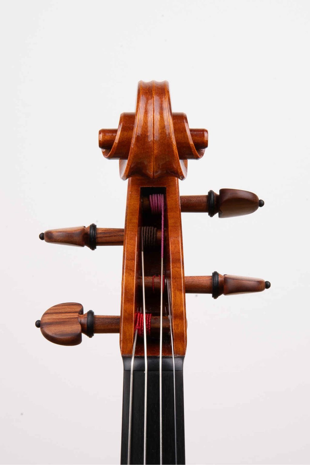 Pawel Kubacka Instrument