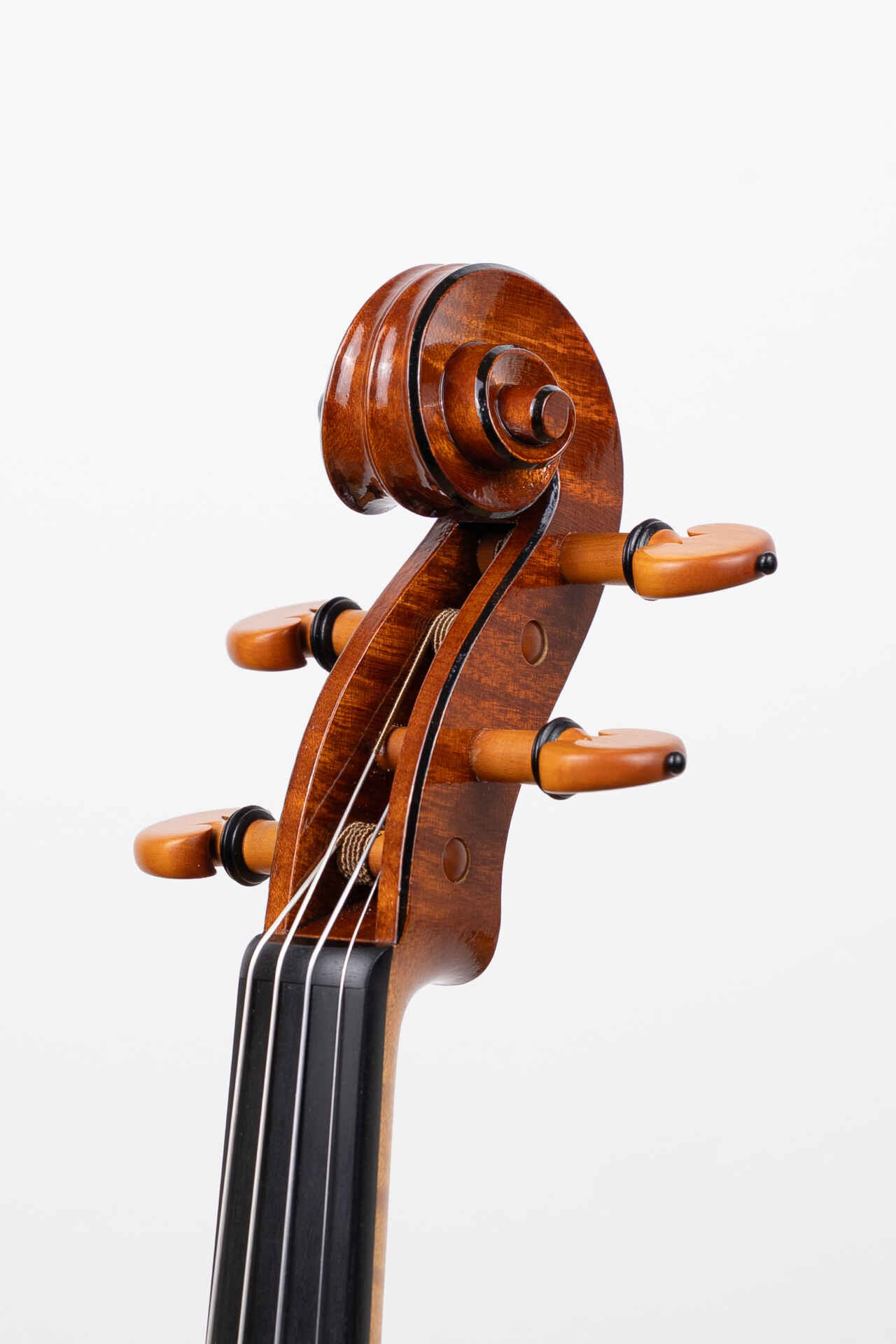 Pawel Kubacka Instrument