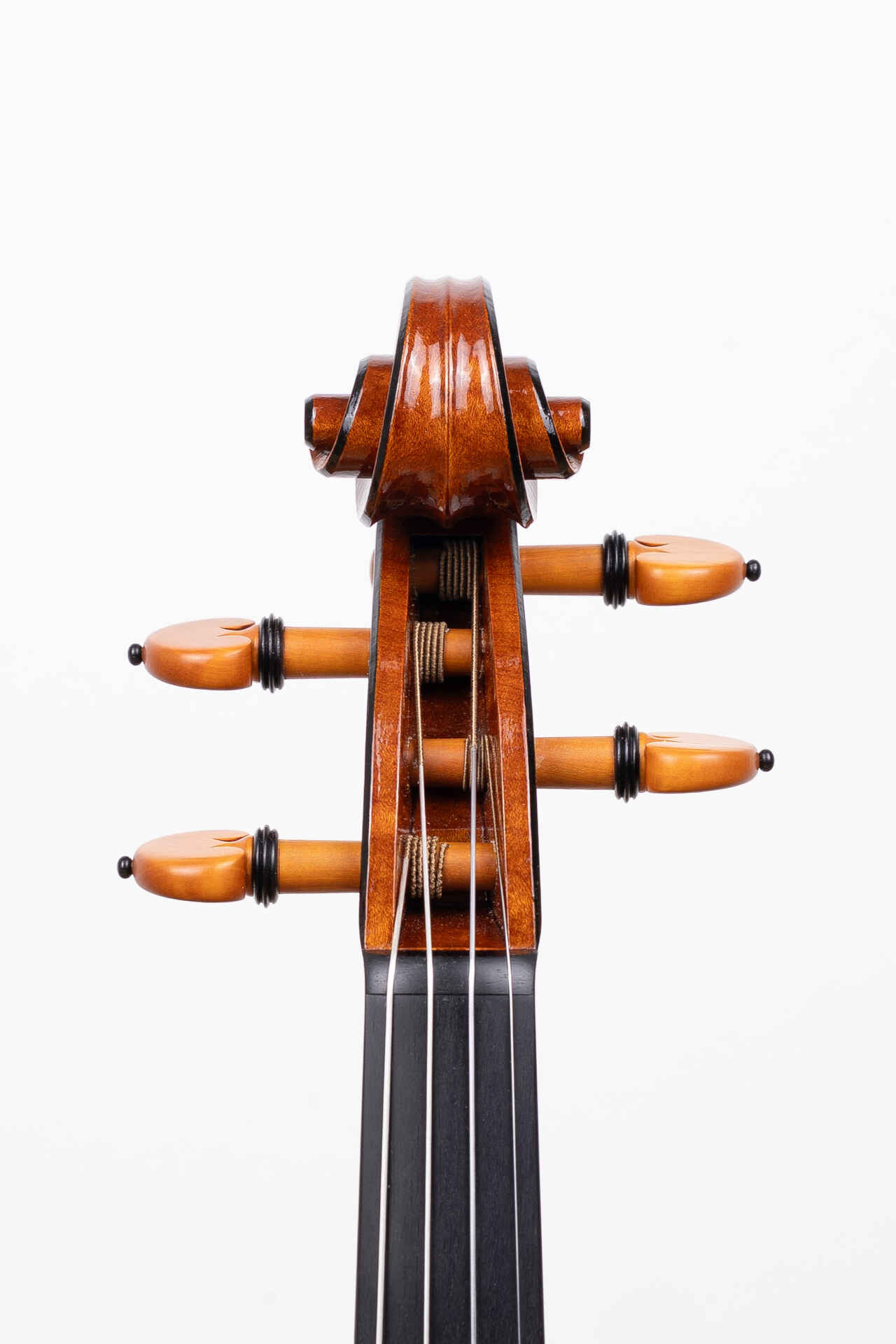 Pawel Kubacka Instrument