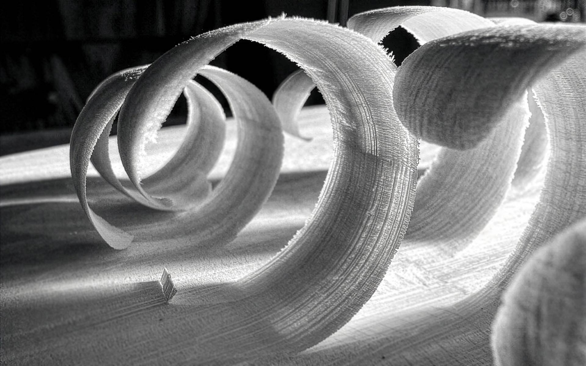 Susanne Gebhardt Work