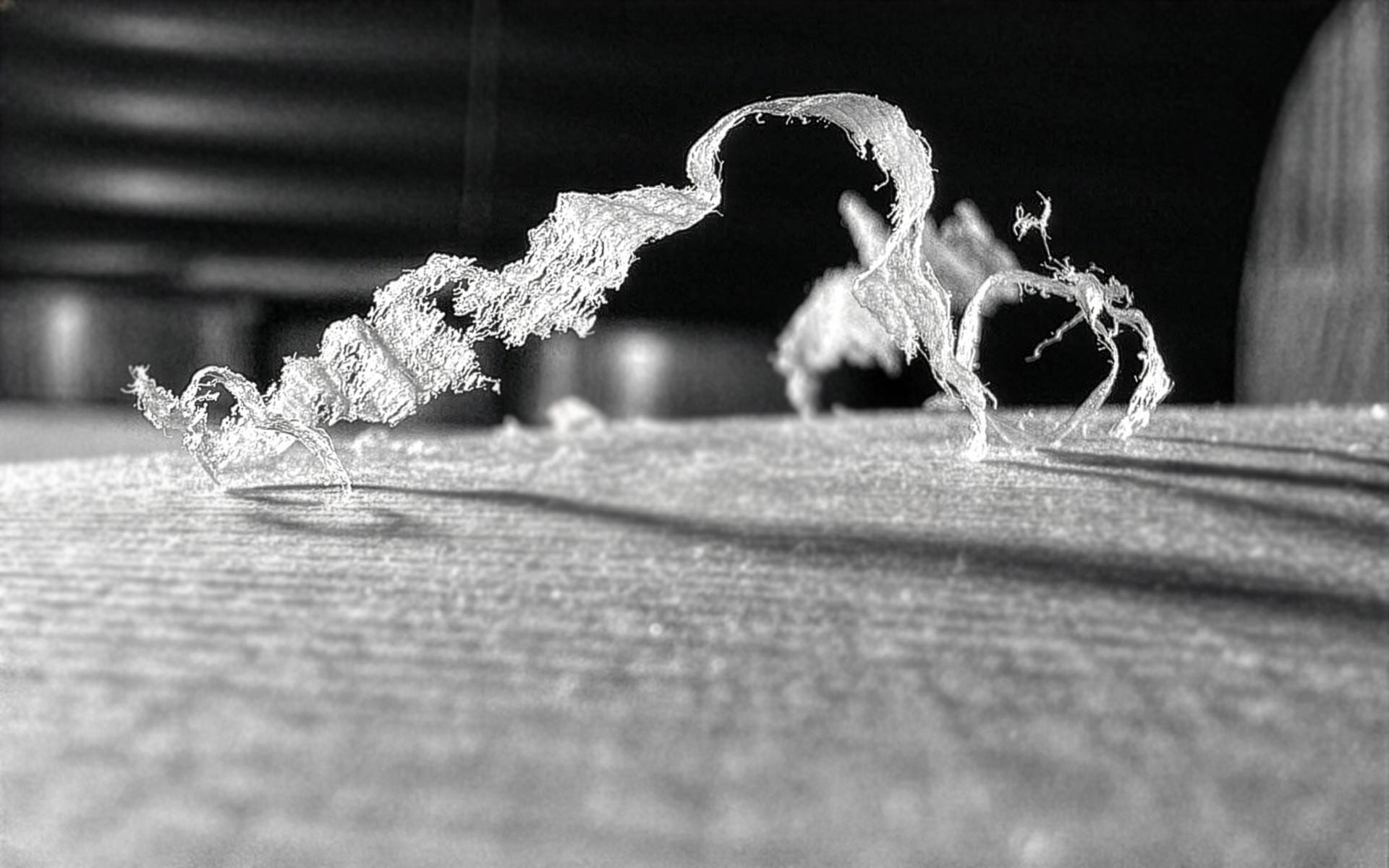 Susanne Gebhardt Work