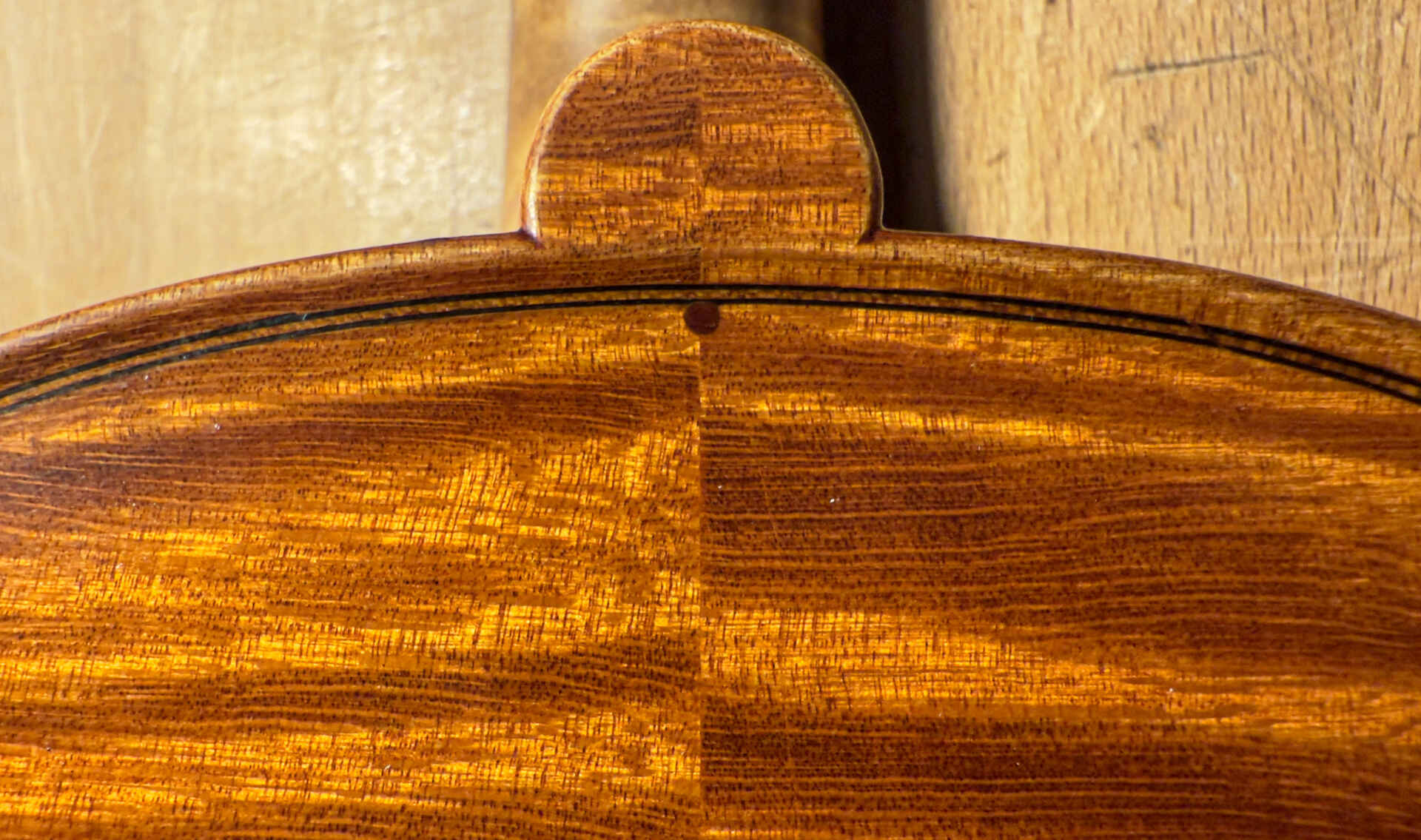 Susanne Gebhardt Instrument