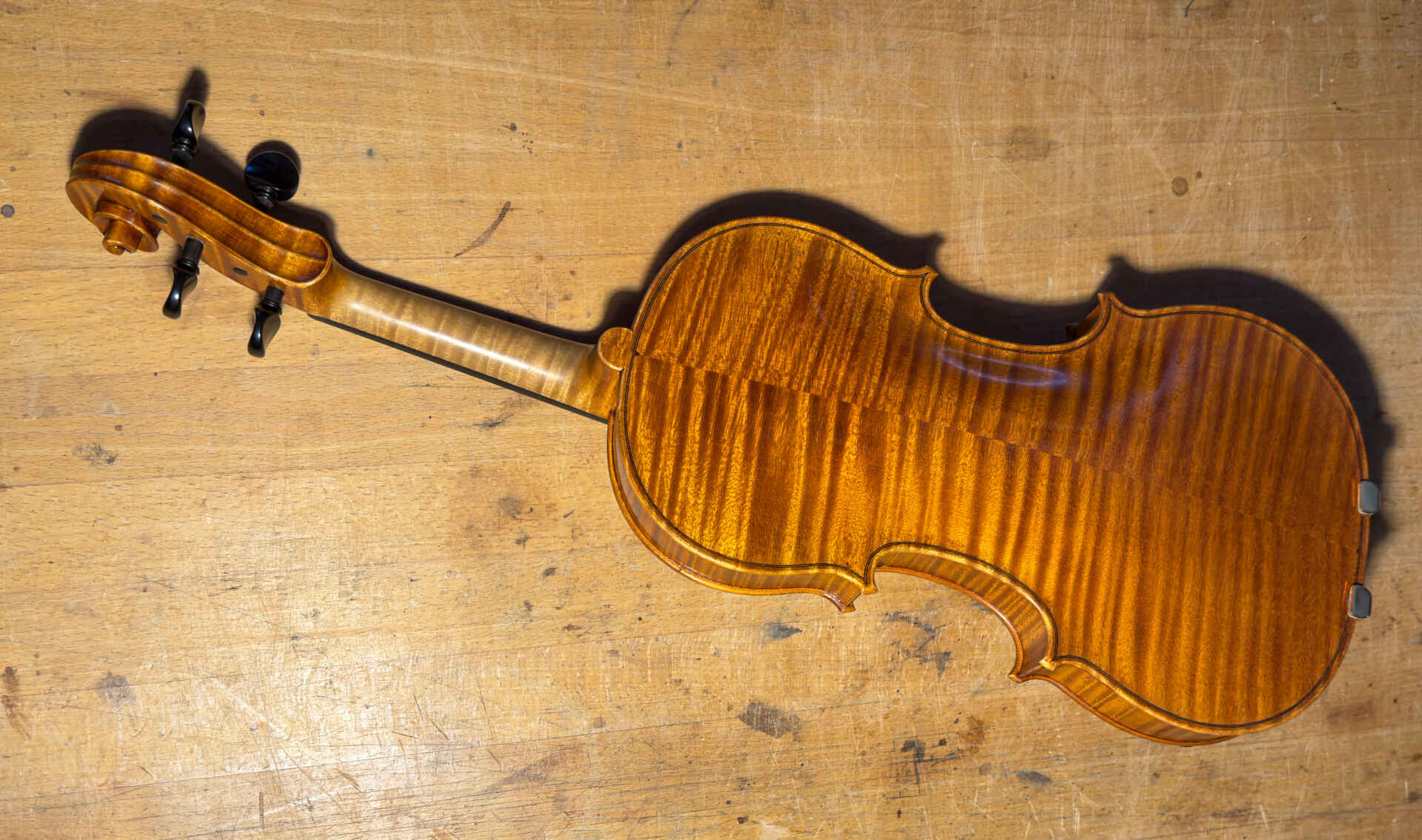 Susanne Gebhardt Instrument