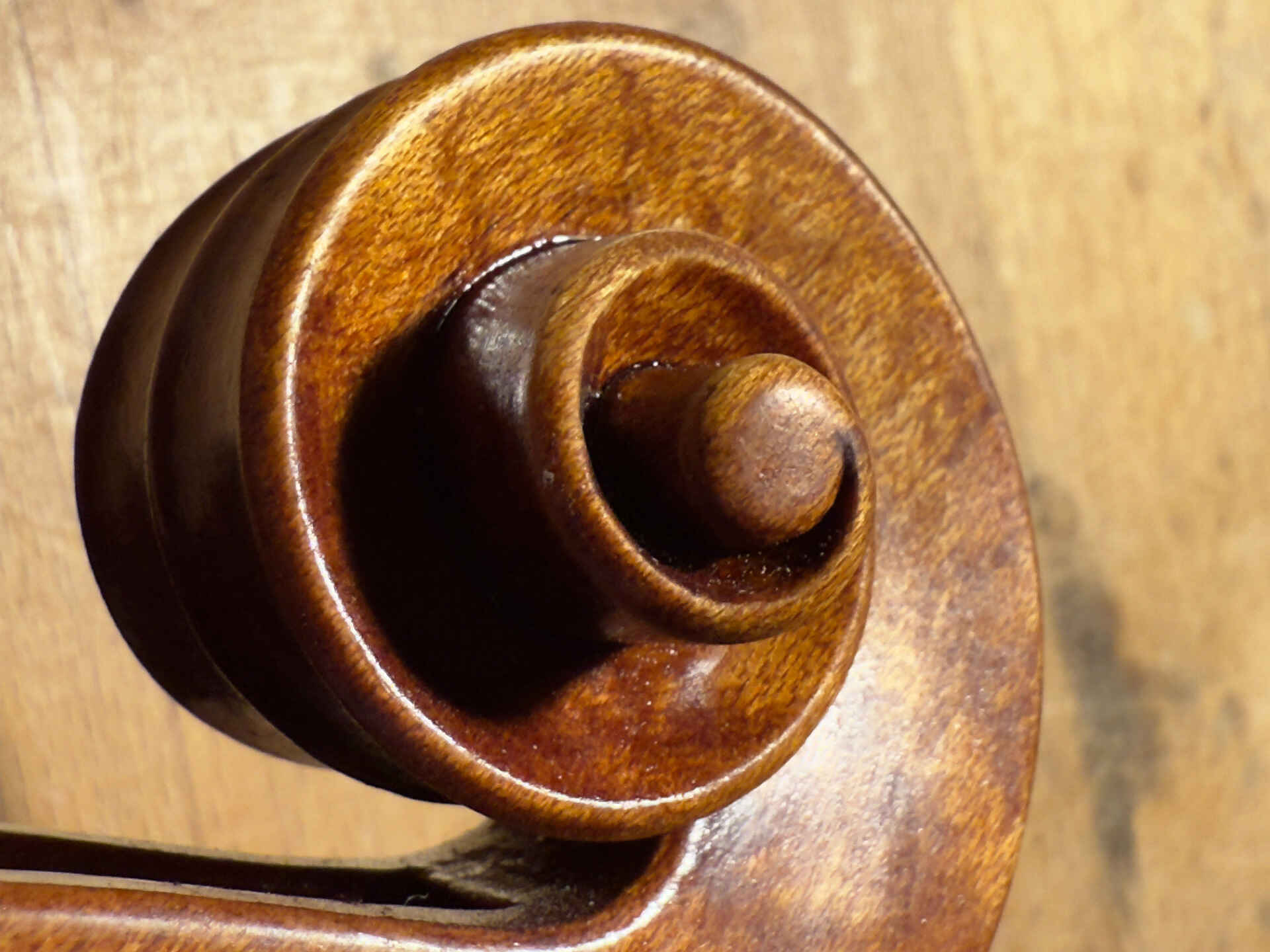 Susanne Gebhardt Instrument